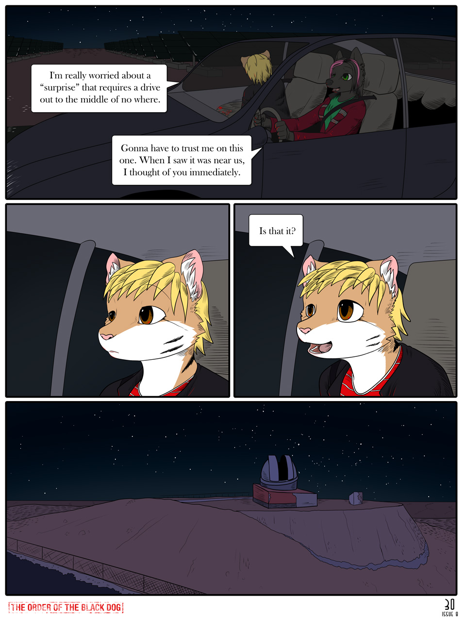 Issue 8, Page 30