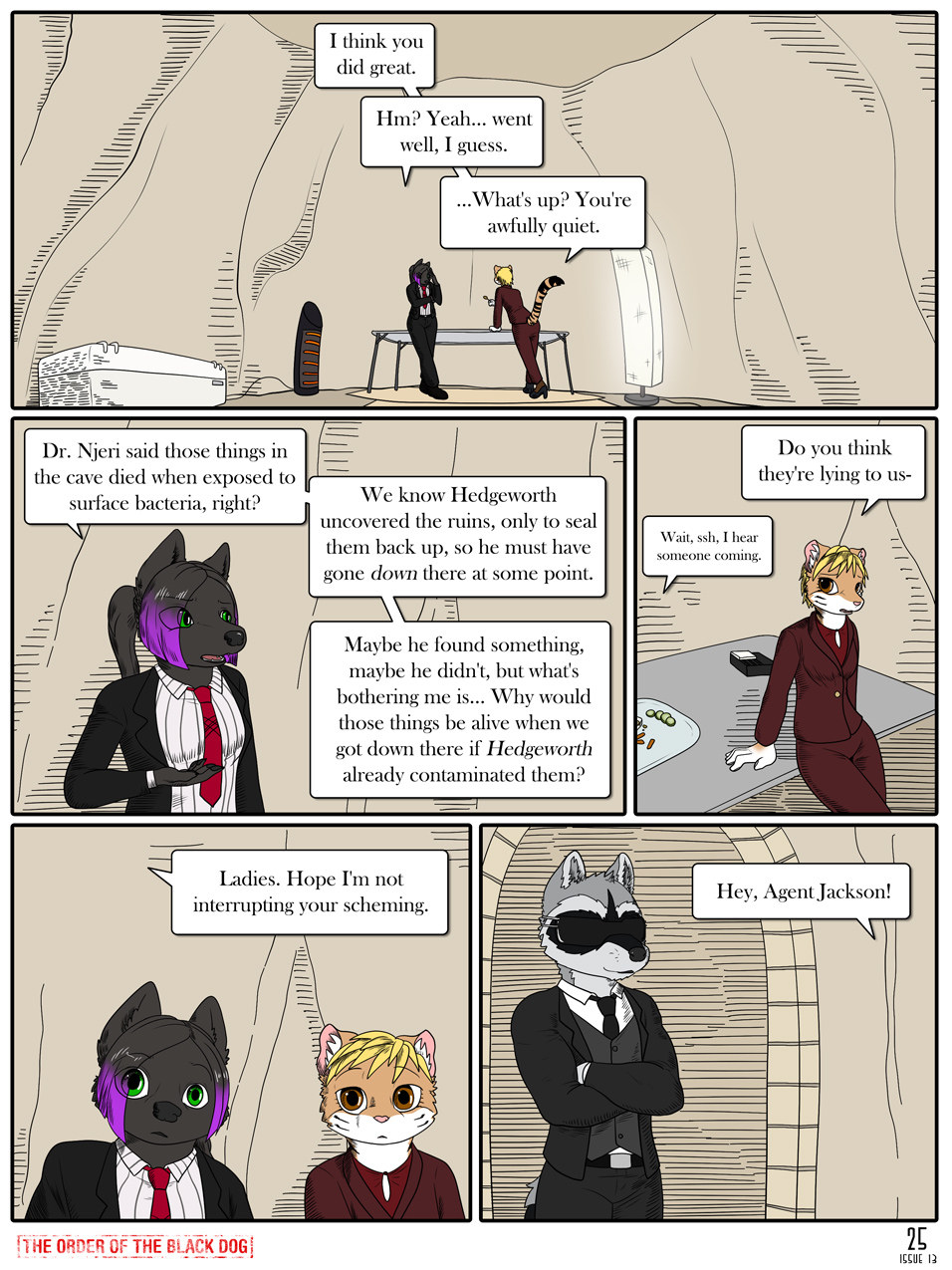 Issue 13, Page 25