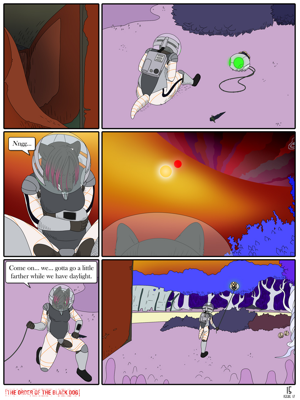 Issue 17, Page 15