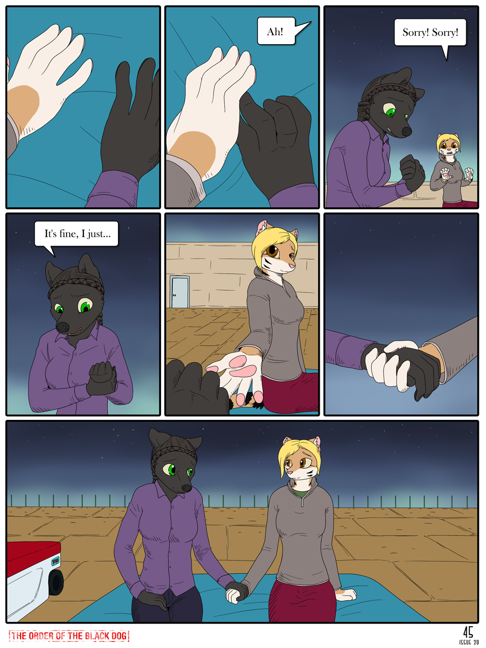 Issue 20, Page 45
