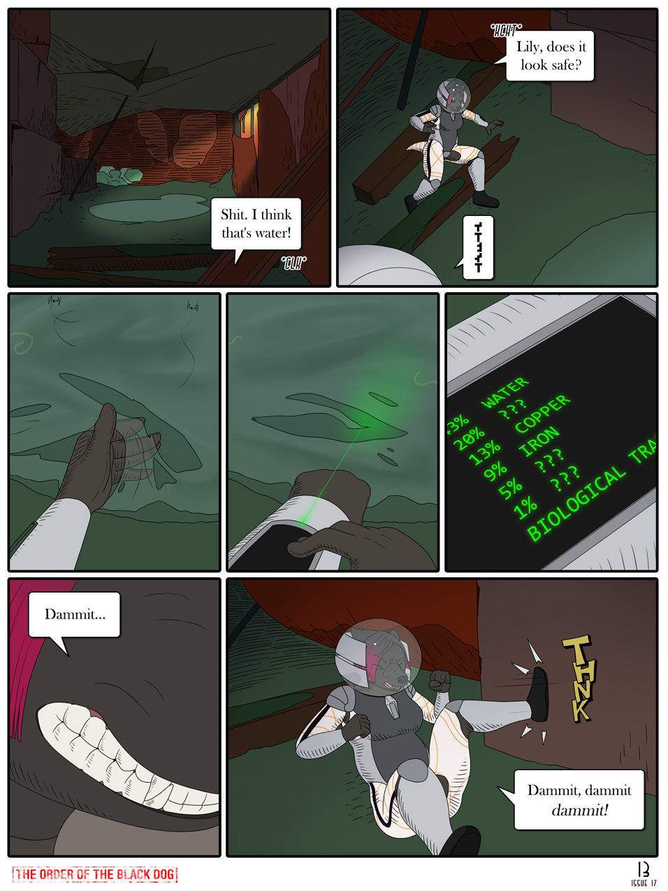 Issue 17, Page 13